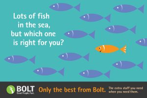 021504 Bolt DM_final_fish_front